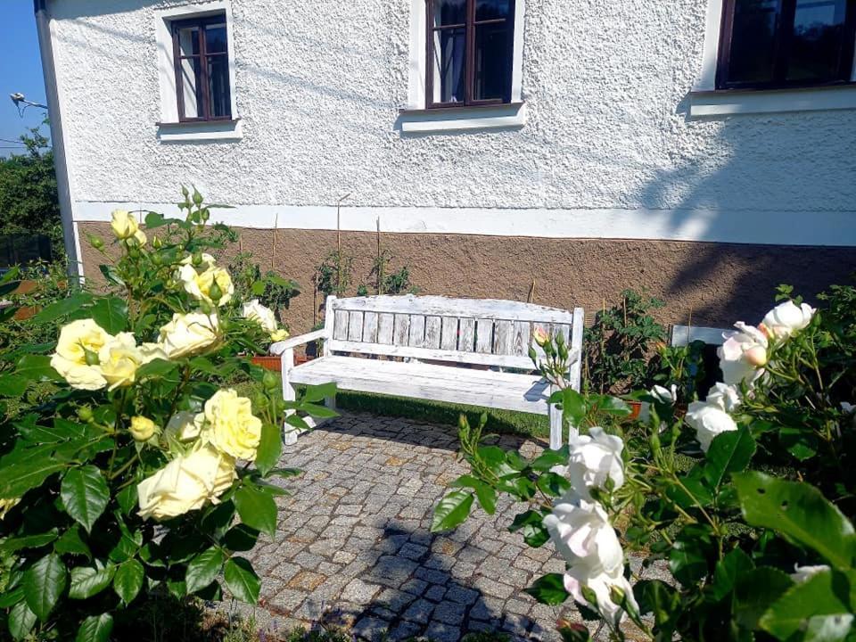 Penzion Pod Sudem Lázne Libverda Exterior foto