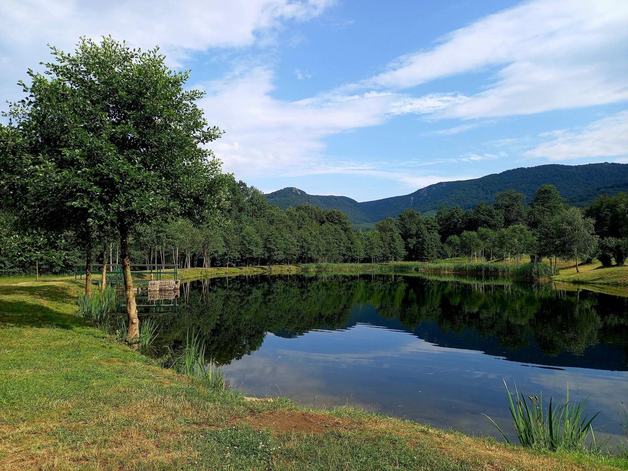 Penzion Pod Sudem Lázne Libverda Exterior foto
