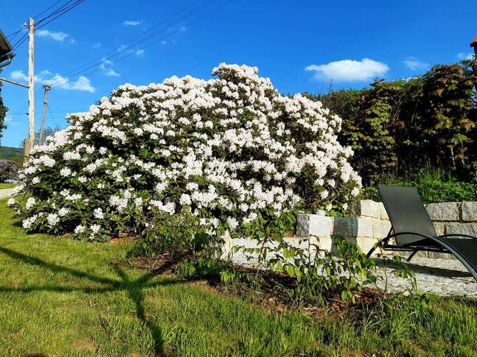 Penzion Pod Sudem Lázne Libverda Exterior foto